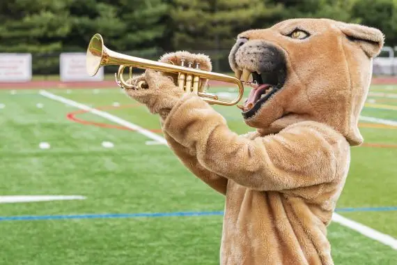 Arrêtez de jouer à la mascotte!